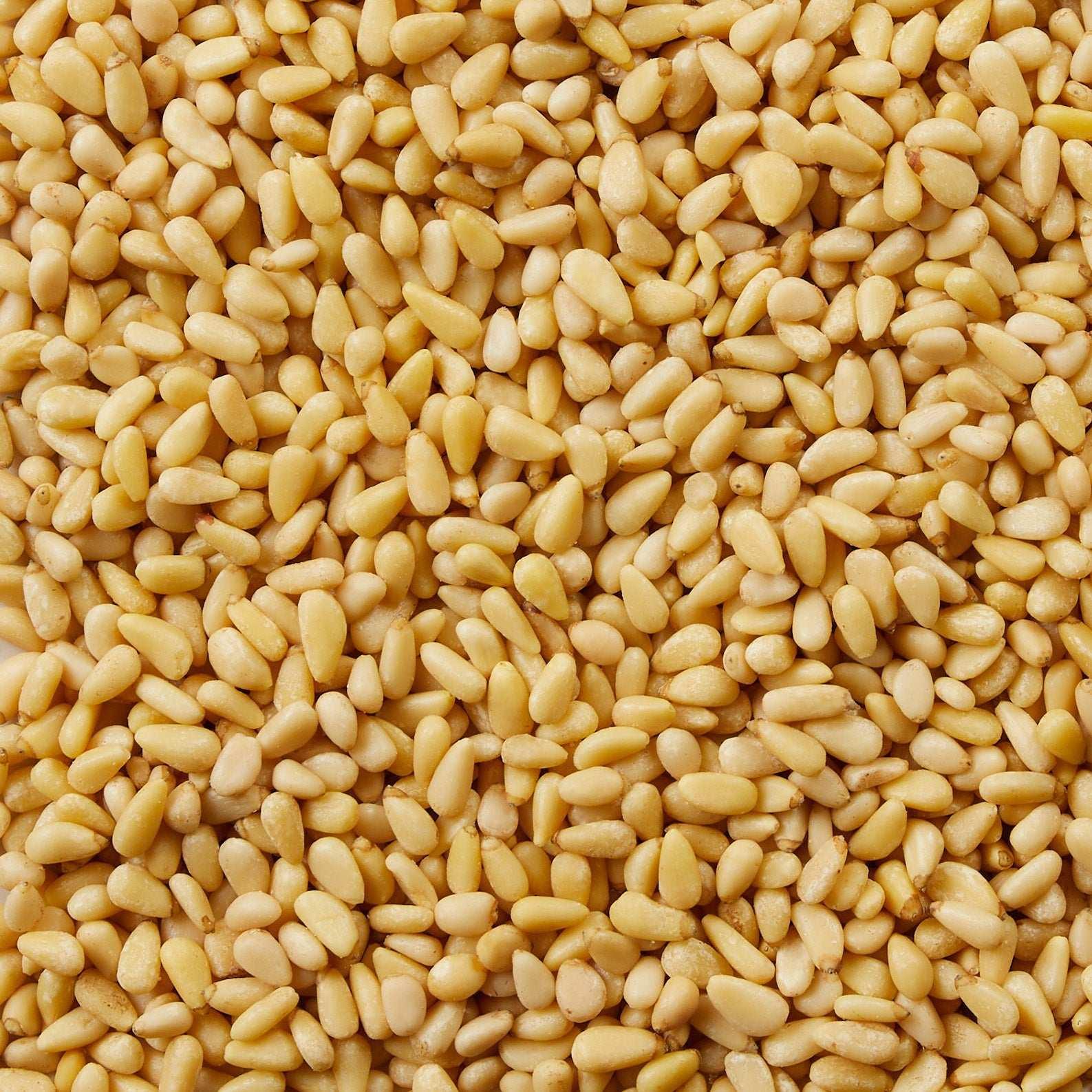 Kirkland Signature Organic Pine Nuts, 1.5 lbs - USA MEGA SHOP