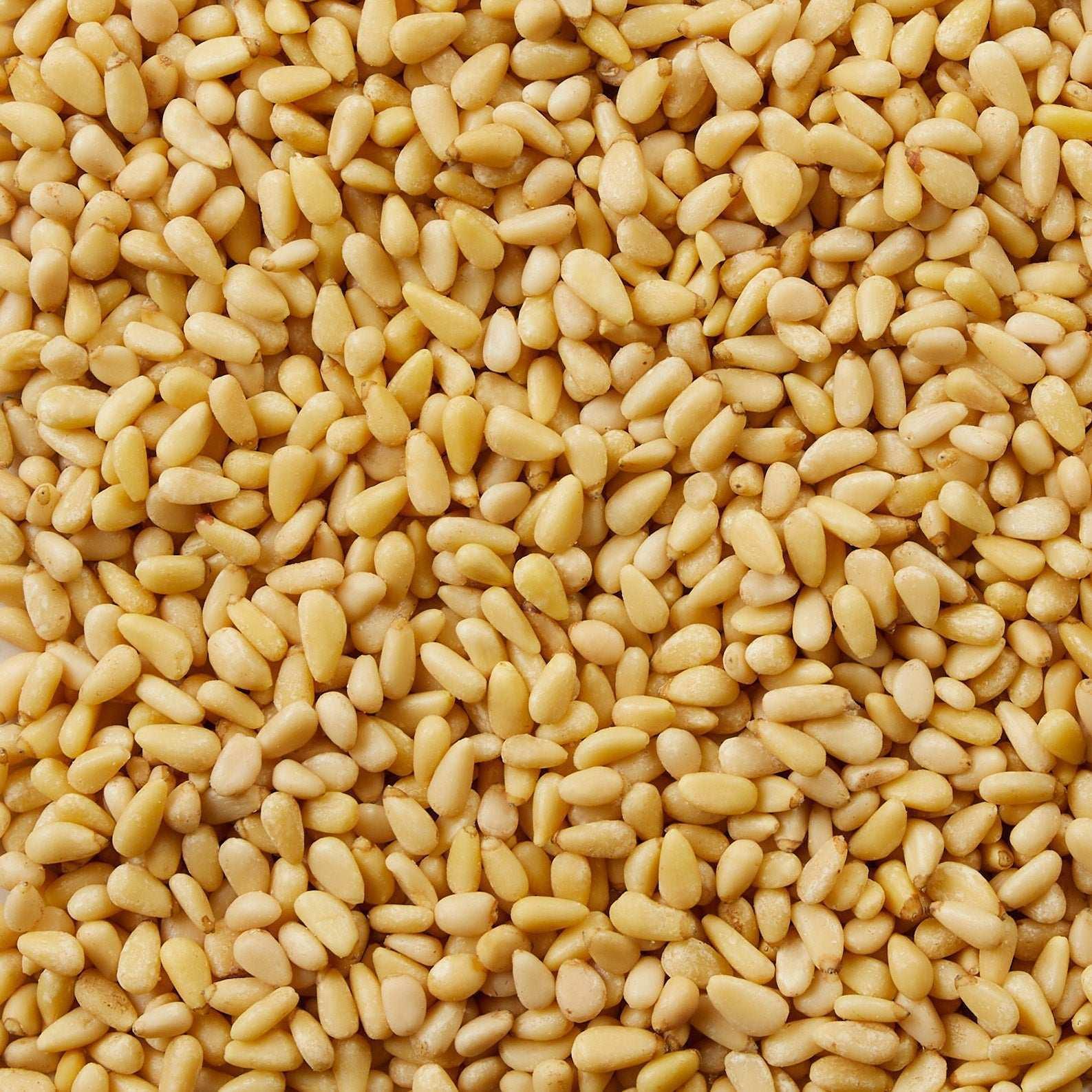 Kirkland Signature Organic Pine Nuts, 1.5 lbs