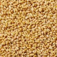 Close-up of pale pine nut kernels