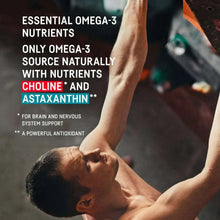 Krill oil supplement graphic highlighting essential omega-3 nutrients, choline and astaxanthin