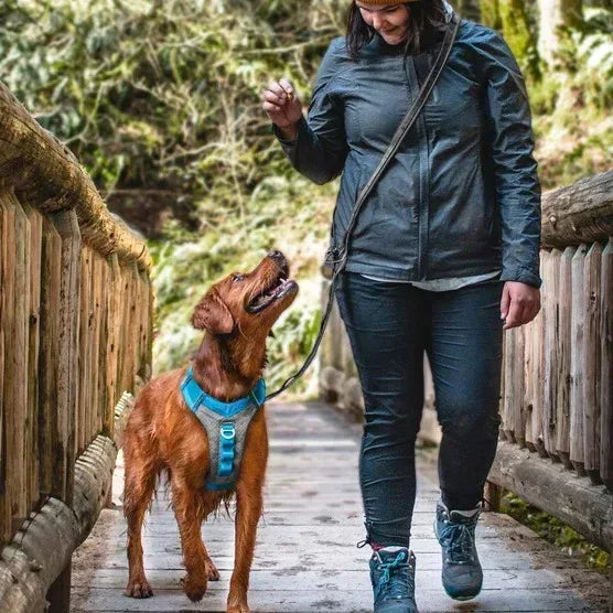 Kurgo Journey Air Harness and Quantum 6-in1 Leash Bundle