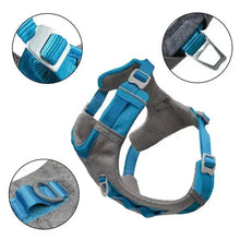 Gray mesh dog harness with blue straps and buckles, side view with adjustment points