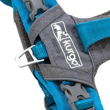 Gray dog harness patch with white logo, blue strap, and plastic buckles detail