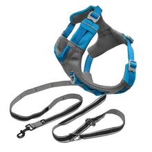 Dog harness with blue straps and gray mesh, plus matching black leash and clips