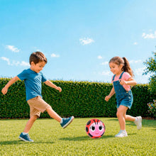 Ladybug character soccer ball toy with pink-red panels, black spots, and a cute smiling face.
