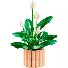Peace lily flower decor with green foliage and white spade flowers in tan cylinder pot