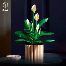 Peace lily flower decor in tan brick pot with green leaves and white flowers on table