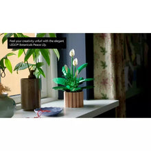 Peace lily flower decor on tabletop with green leaves and white spade flowers near vase