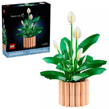 Peace lily flower room decor box with green leaves and tan brick pot