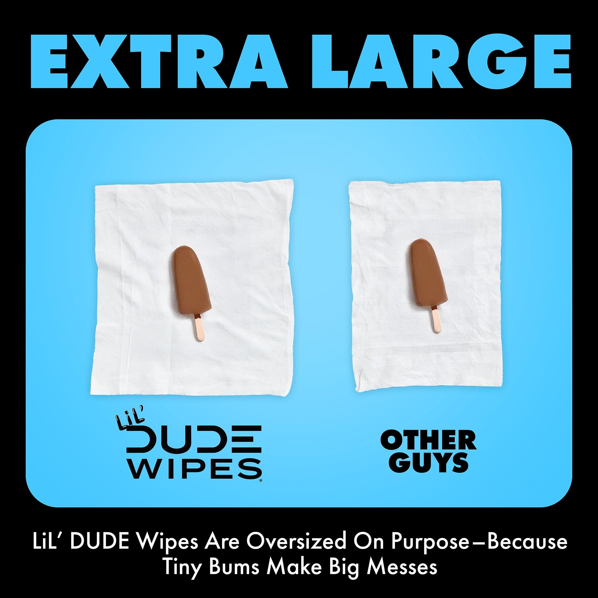 LiL' DUDE Flushable Wipes, Extra Large Fragrance Free Wet Wipes, 42 Count