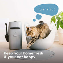 White cat litter disposal pail with black lid and scoop; cat near the base