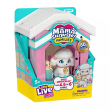 Toy playset house package with teal-and-pink walls and white roof