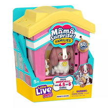 Toy playset house package with yellow roof, pink walls, and character figures