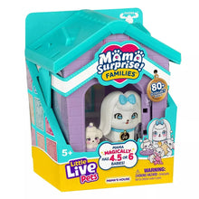 Toy playset house package with teal roof and purple-pink walls
