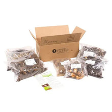 Longfield Garden bulb collection box with assorted sealed seed packets