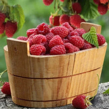 Basket of red raspberries with green leaves on a wooden crate