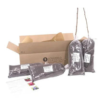 Bareroot raspberry plants in retail packaging with wrapped roots and labels
