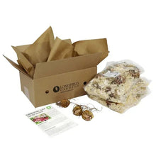 Lily bulb planting kit in a box with enclosed bulbs and packet