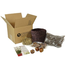 Paperwhite ‘Ziva’ bulb kit with bulbs, woven bird's nest planter, moss, and growing medium