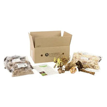 Longfield Gardens perennial planting kit: box, bulb/root pieces, seed packets, instructions
