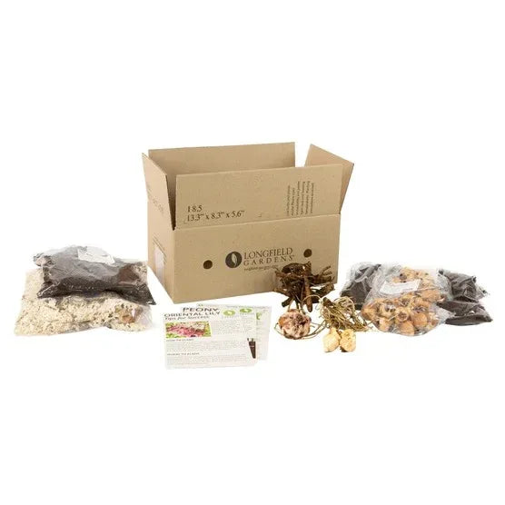 Longfield Garden Solution Collections