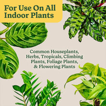 Indoor potting mix packaging with illustrations of green houseplants for all indoor plants
