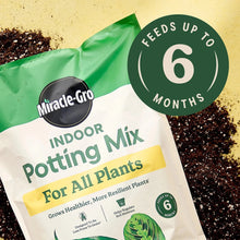 Indoor potting mix bag on soil, "feeds up to 6 months" badge