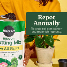 Indoor potting mix for repotting, potted plant with hands and soil