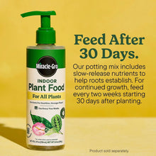 Indoor potting mix next to Miracle-Gro indoor plant food bottle, "feed after 30 days"