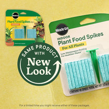 Indoor plant food spikes package with blister pack and blue spikes, green and white label.