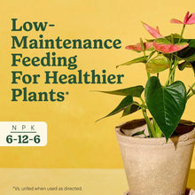 Indoor plant food spikes label with houseplant and nutrient ratio 6-12-6