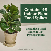 Indoor plant food spikes packaging showing potted plant and 48 spike count