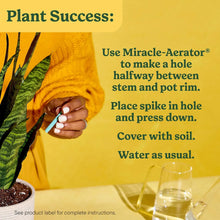 Indoor plant food spikes application on potted plant with green stake