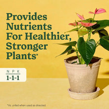 Potted indoor plant with Miracle-Gro nutrients graphic and NPK 1-1-1