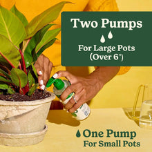 Hand applying Miracle-Gro indoor plant food to potted plant soil with green pump