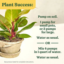Potted plant with Miracle-Gro feeding instructions graphic and pump directions