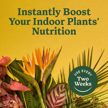 Indoor plants with Miracle-Gro nutrition graphic, use every two weeks