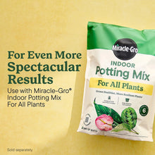 Miracle-Gro indoor potting mix bag with green top and white packaging