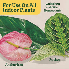 Indoor houseplants with Miracle-Gro use on all indoor plants graphic