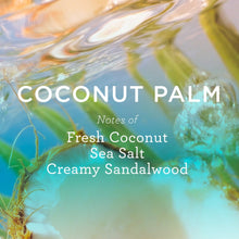 Coconut Palm themed product graphic with sea salt and creamy sandalwood notes