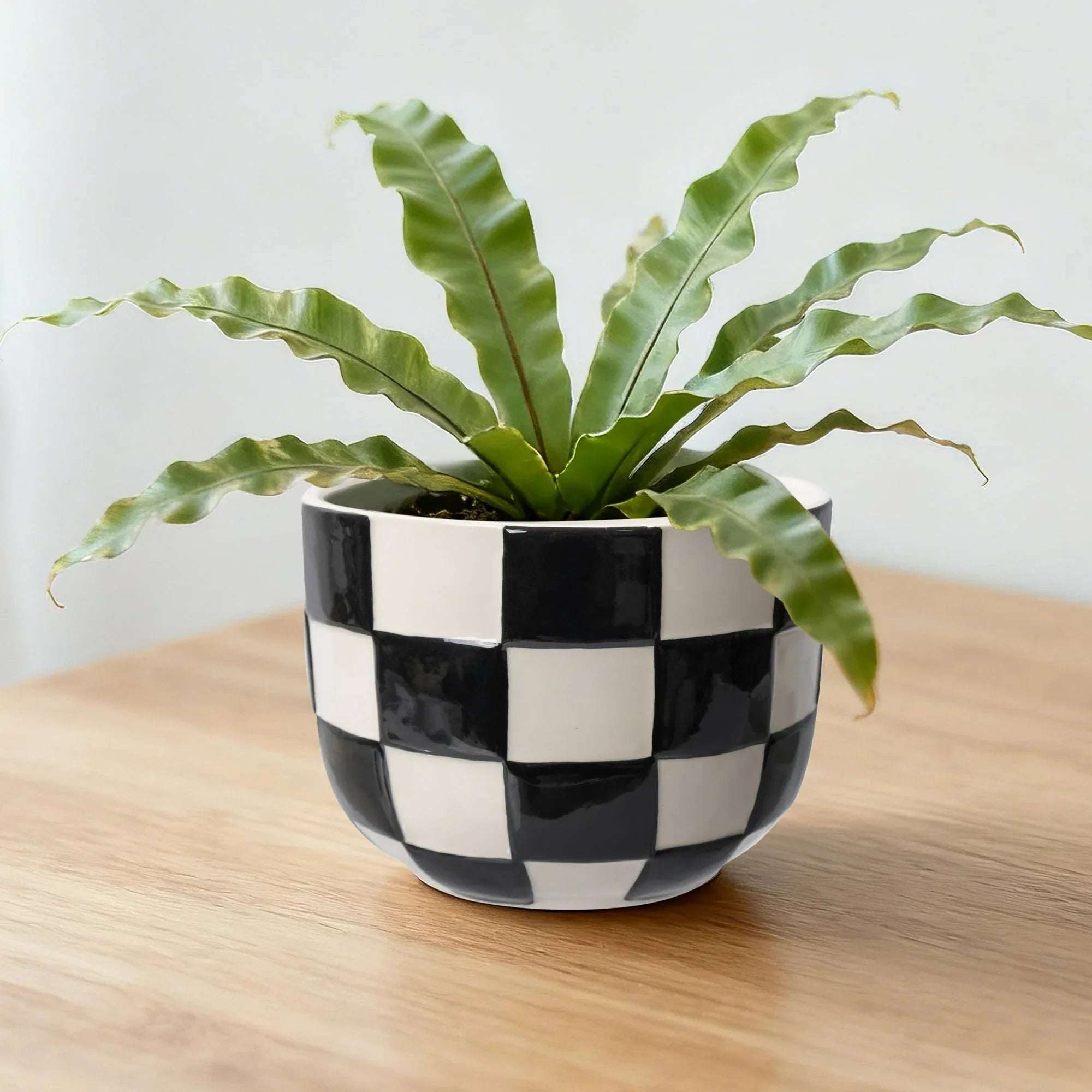 Mainstays Lennon Round Black Checkered Ceramic Planter