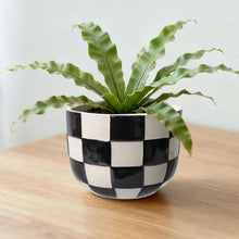 Round ceramic planter with glossy black-and-white checker pattern and green plant