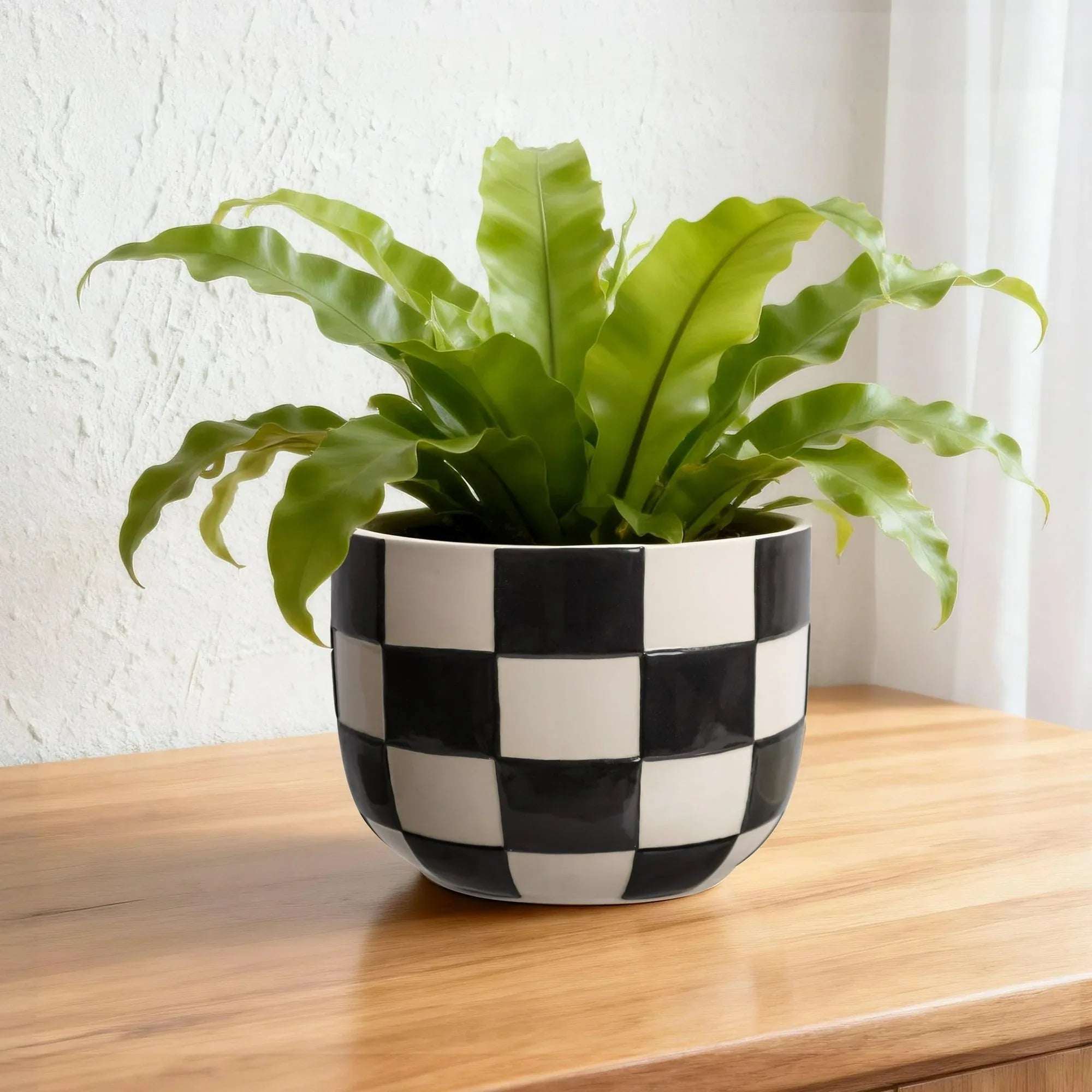 Mainstays Lennon Round Black Checkered Ceramic Planter