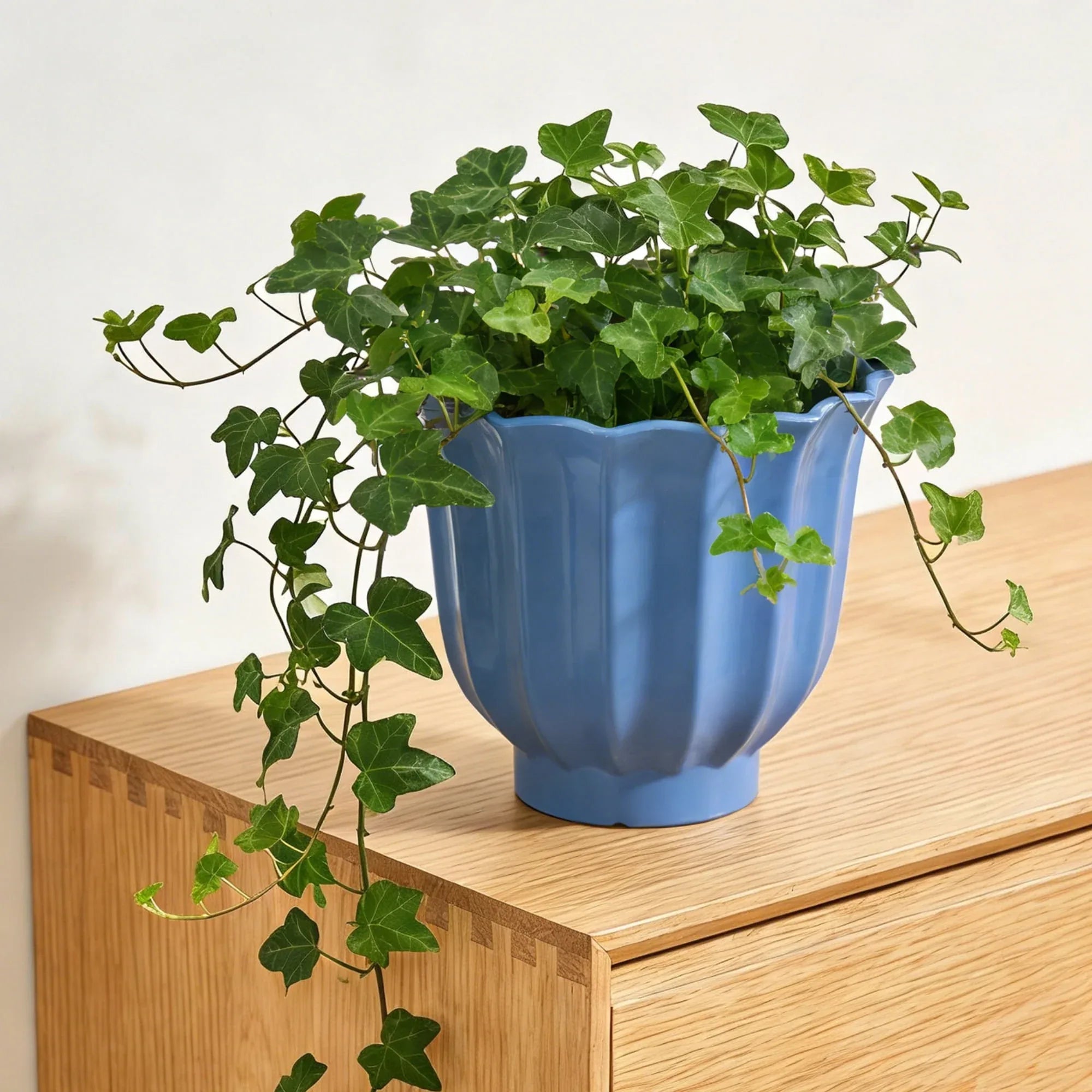 Mainstays Lillian 8" x 8" x 7" Round 100% Recycled Resin Planter