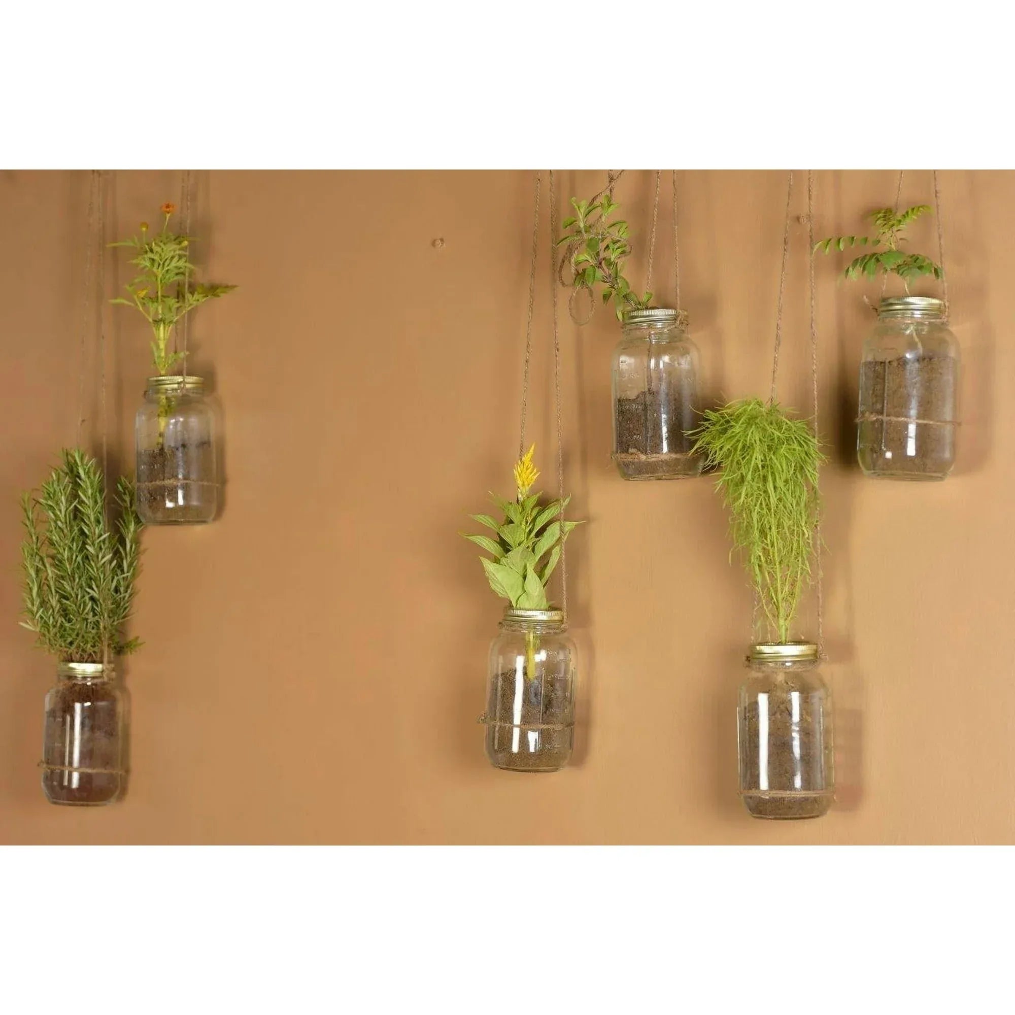 Mainstays Mason Jars, Regular Mouth Half Pint Canning Jars with Lids and Rings, 12-Pack Small Glass Jars for Home Canning and Preserving