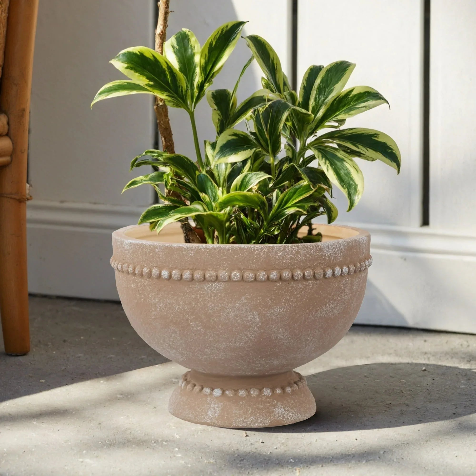 My Texas House 8" Dot Bowl Ceramic Plant Pot 8.1" Diameter