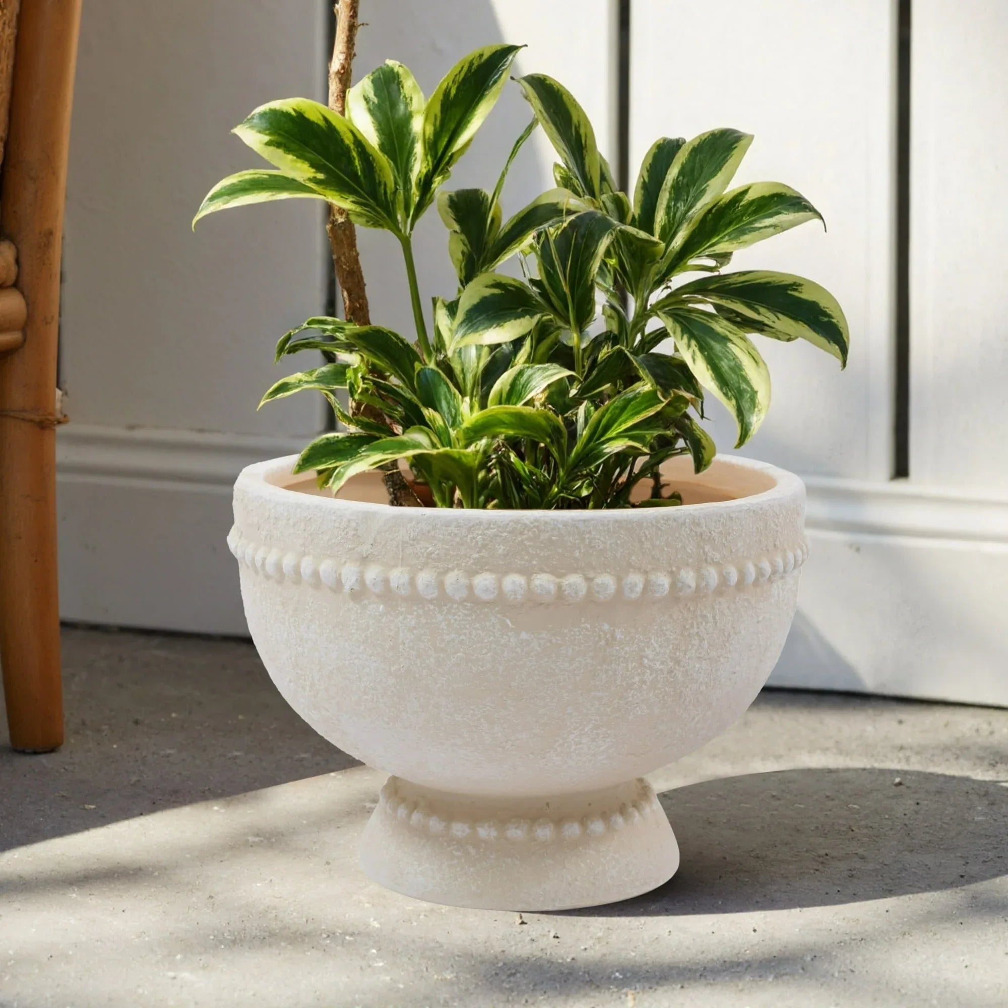 My Texas House 8" Dot Bowl Ceramic Plant Pot 8.1" Diameter