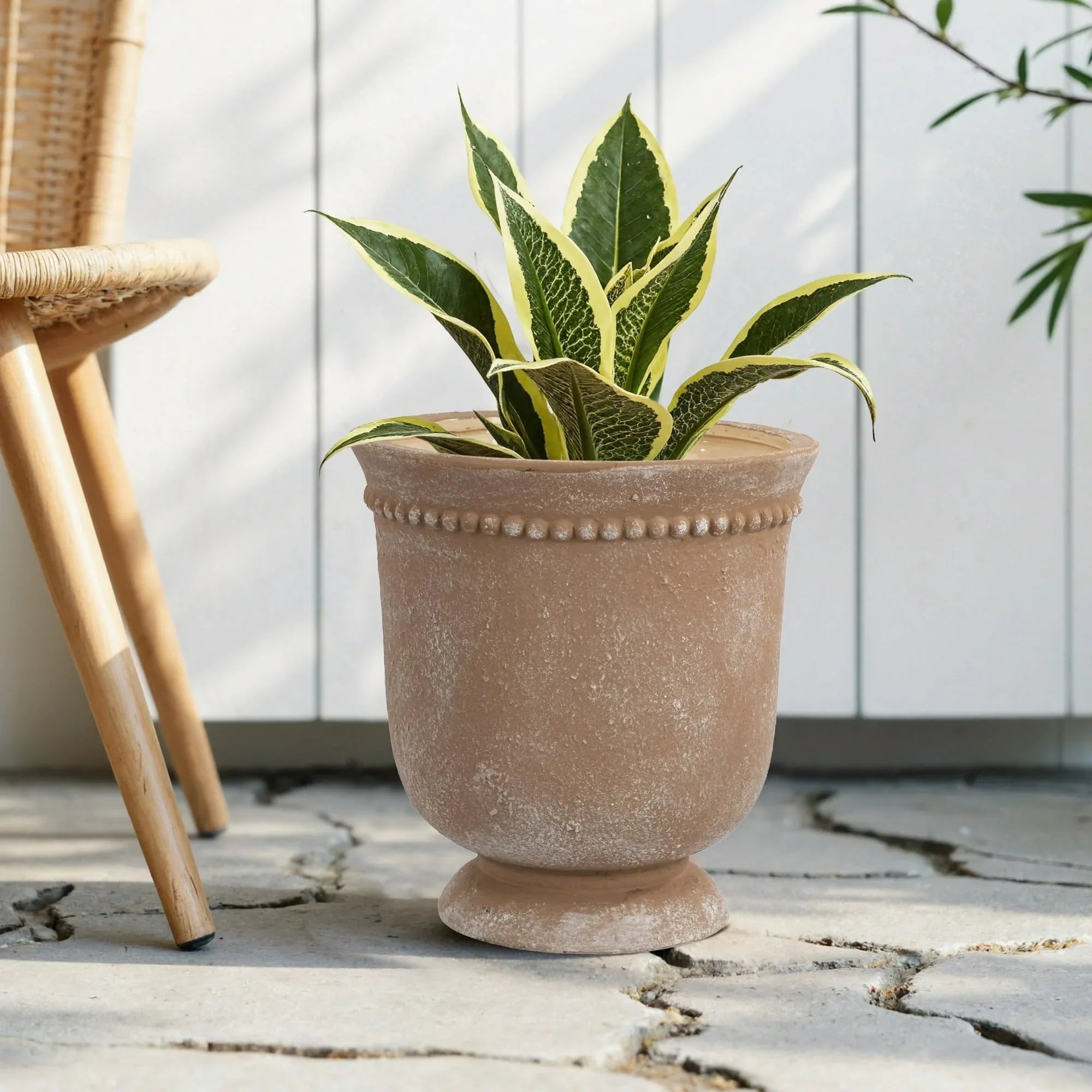 My Texas House Ceramic Urn Planter Pot with Elegant Dot Pattern, 8 inch