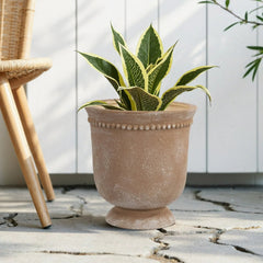 My Texas House Ceramic Urn Planter Pot with Elegant Dot Pattern, 8 inch