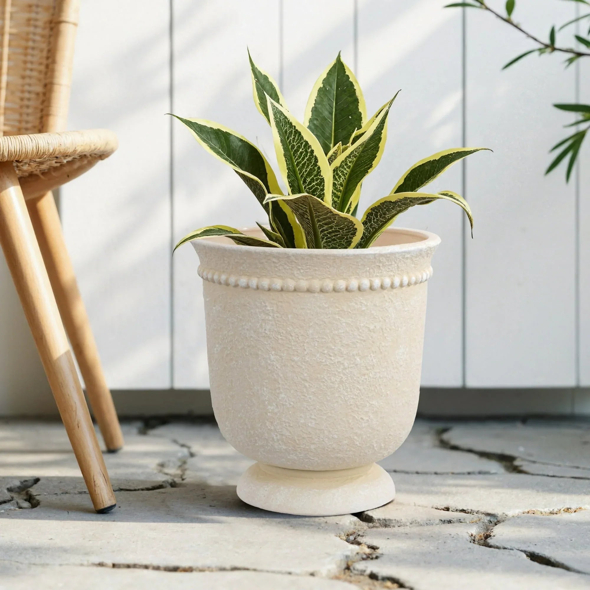 My Texas House Ceramic Urn Planter Pot with Elegant Dot Pattern, 8 inch